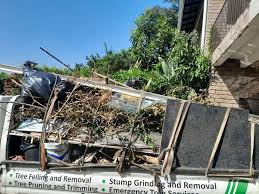 Best Property Management Cleanouts  in Shady Hills, FL